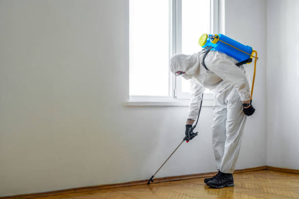 Best Pest Inspection Near Me  in Ocean City, MD