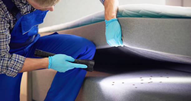 Best Residential Pest Control  in Ocean City, MD