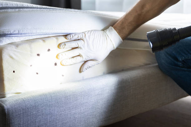 Best Pest Prevention Services  in Ocean City, MD
